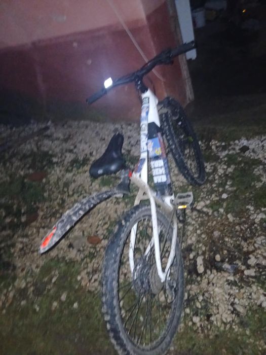 Bicicleta electrica prophete