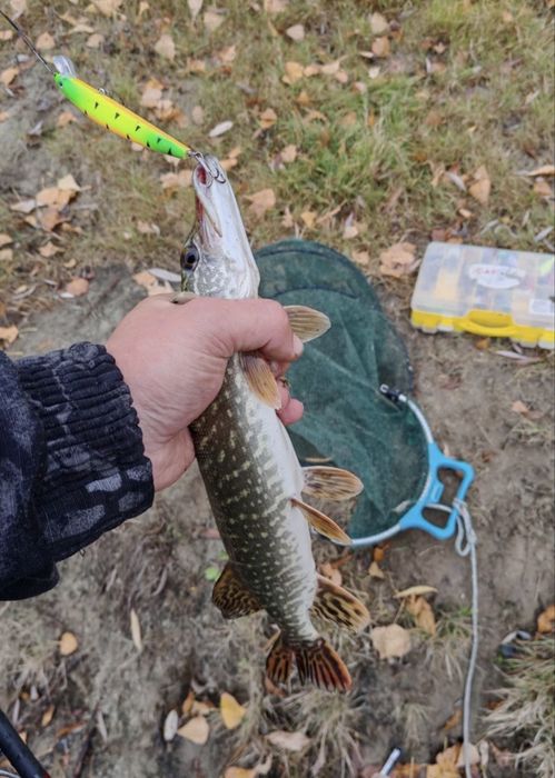 Воблеры для Рыбалки