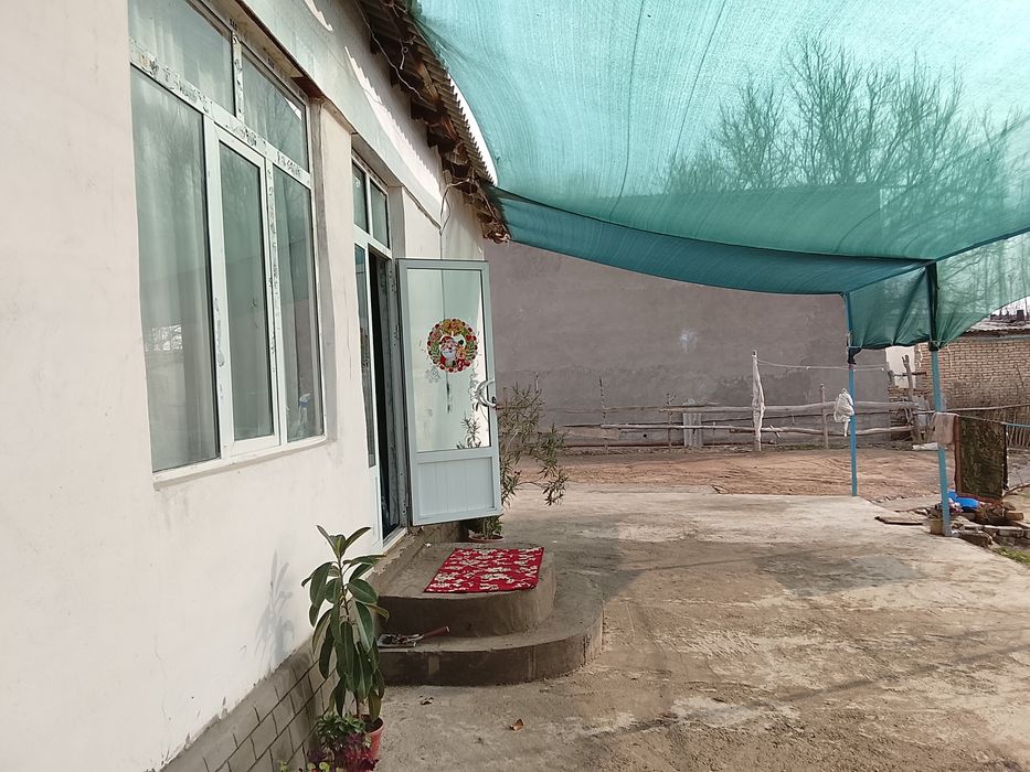 25 сотихли котта ховлимиза сотуга сикти