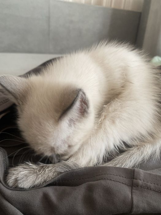 Алаомоаоалмслалмшмлплмлмлмлслалммллслпилмллпплилмлплрлмлмлплплммл