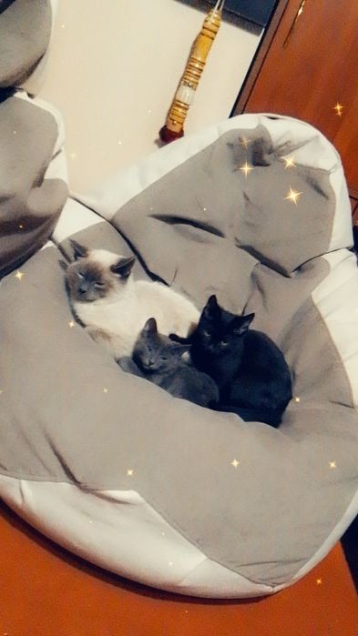 Продам без каркасное кресло