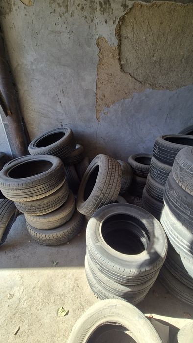 Рабочи балонлар 1 донаси  100 мингсум