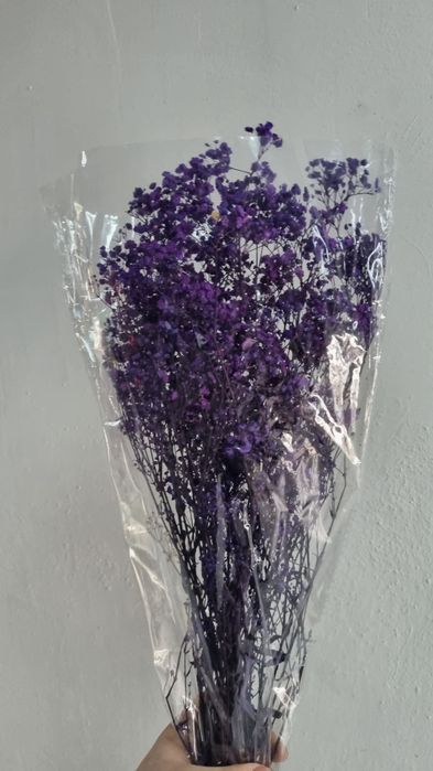 Сухоцветы / Гипсофилы букет