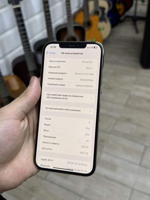 iPhone 12 Pro Max 256