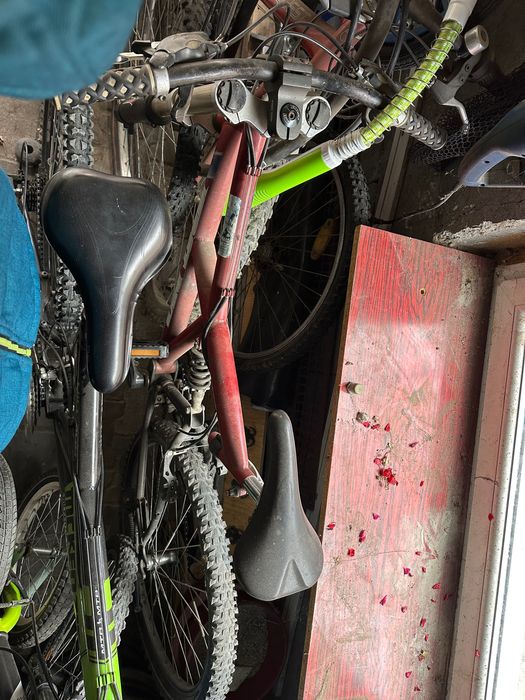 Bicicleta first bike down hill