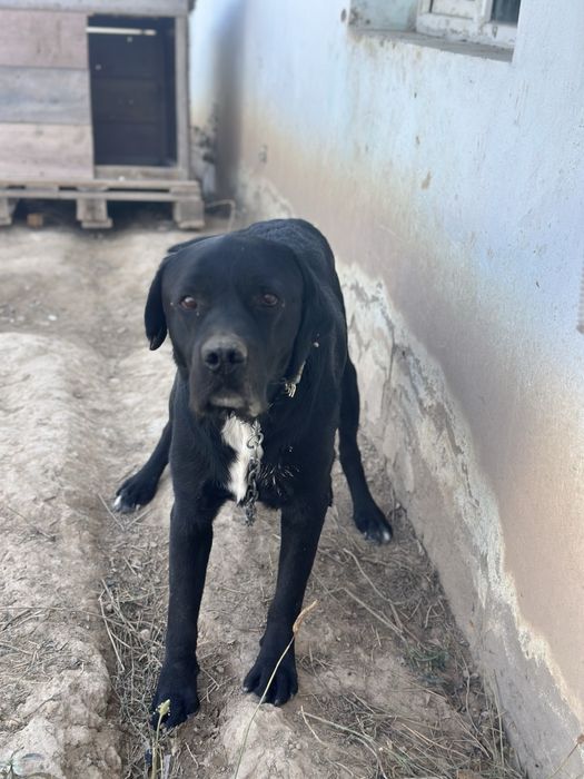 Мальчик 2-3 года