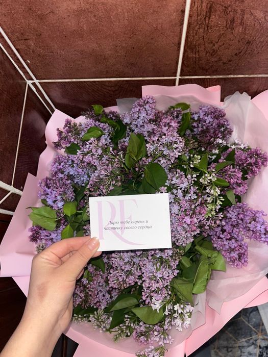 Сирень свежийй, новый