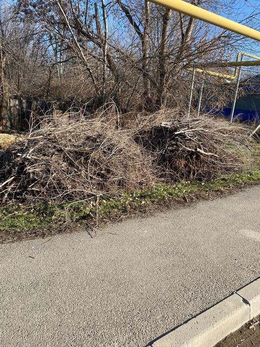 Отдам бесплатно ветки два кучка