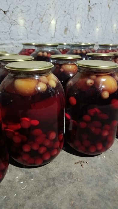 Компот домашный шие + өрік