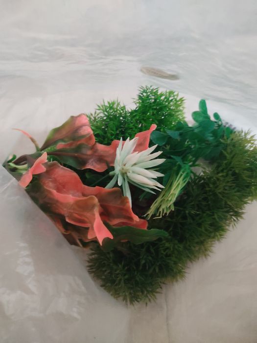 Аквариум с набором