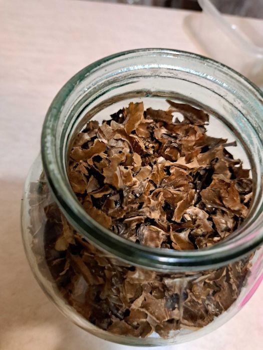 перегородки грецких орехов