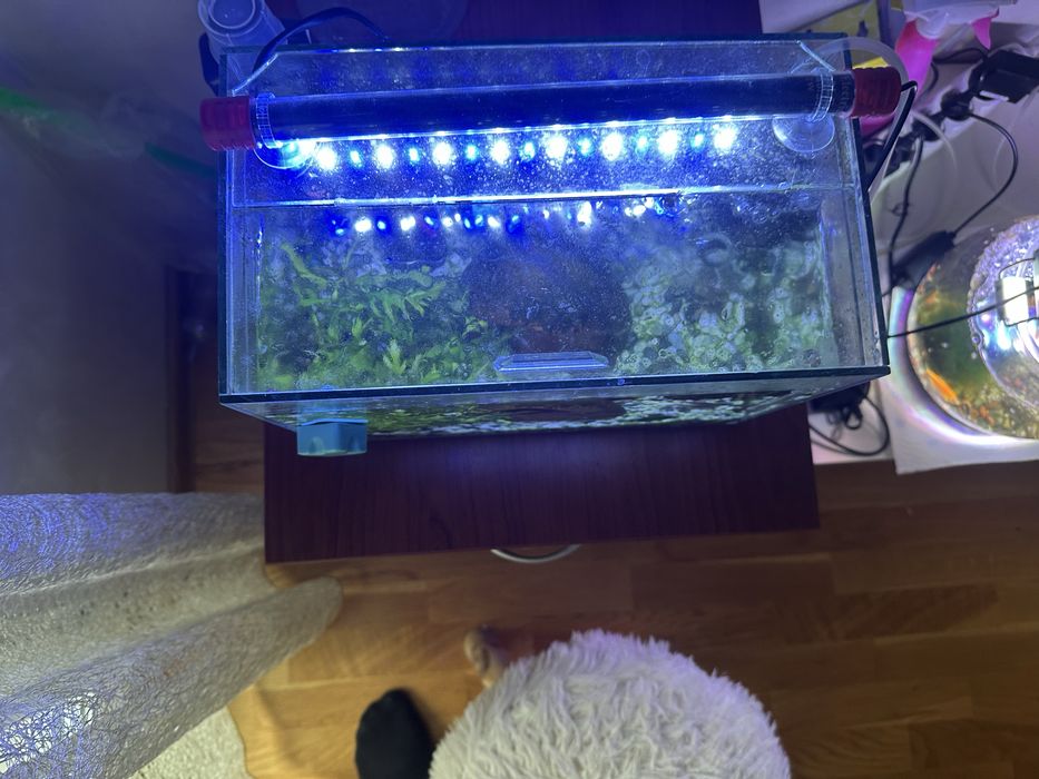 Авариум 15 литра с камани