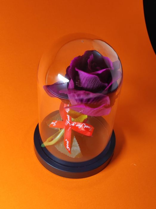 Trandafir de catifea in cupola de plastic