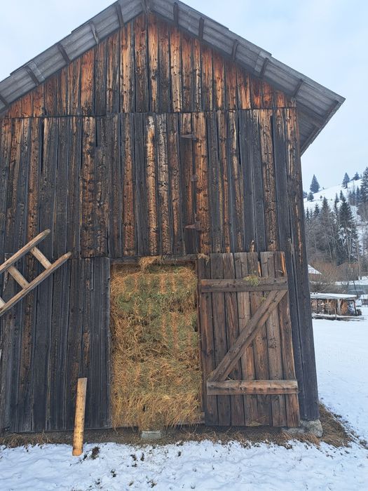 Vând fân de livadă nebalotat!