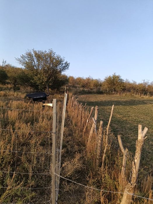 Участок 100 соток