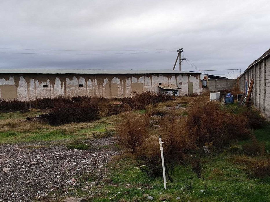 Surum, Bag'ishda 2.4 GA tovuq ferma sotiladi, Quyichirchiq tumani.