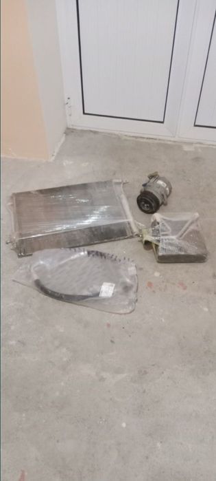 Kandisaner Kaptiva malibga koʻbit  neksiya jentra bor