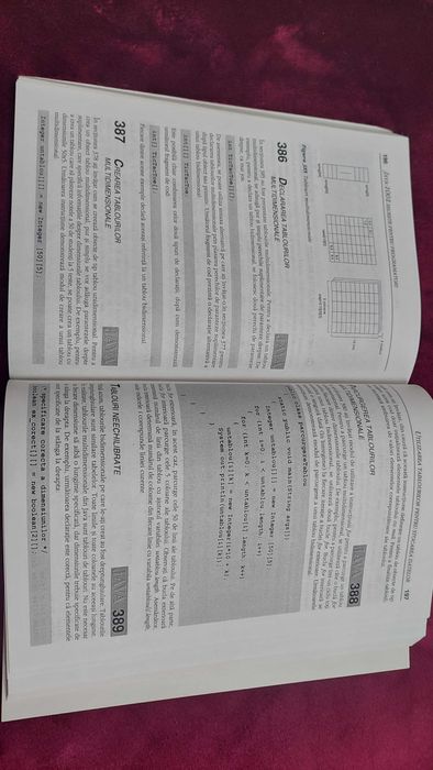 Carte Java 1001 Secrete pentru programatori