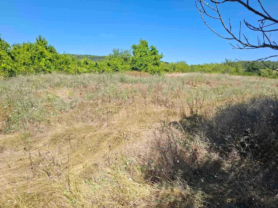 Парцел в село Церова кория