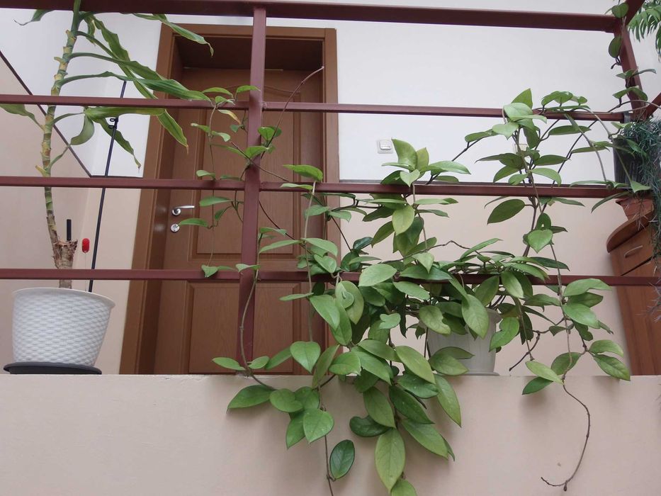 Olympus SP-720UZ 14 mPx