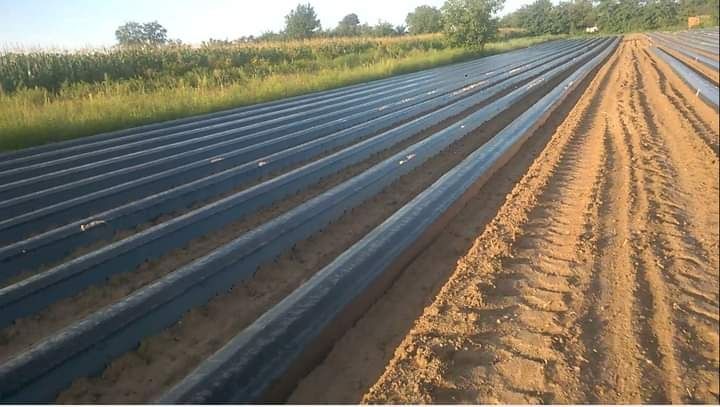 Piesa masina de bilonat si intins folie