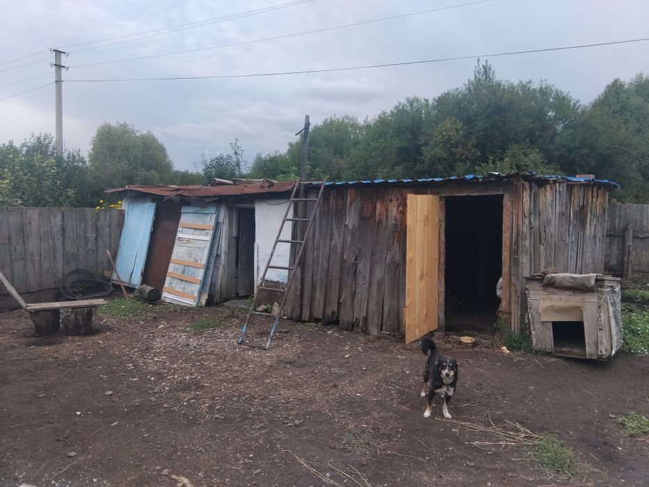 Продам дом в с. Быструха