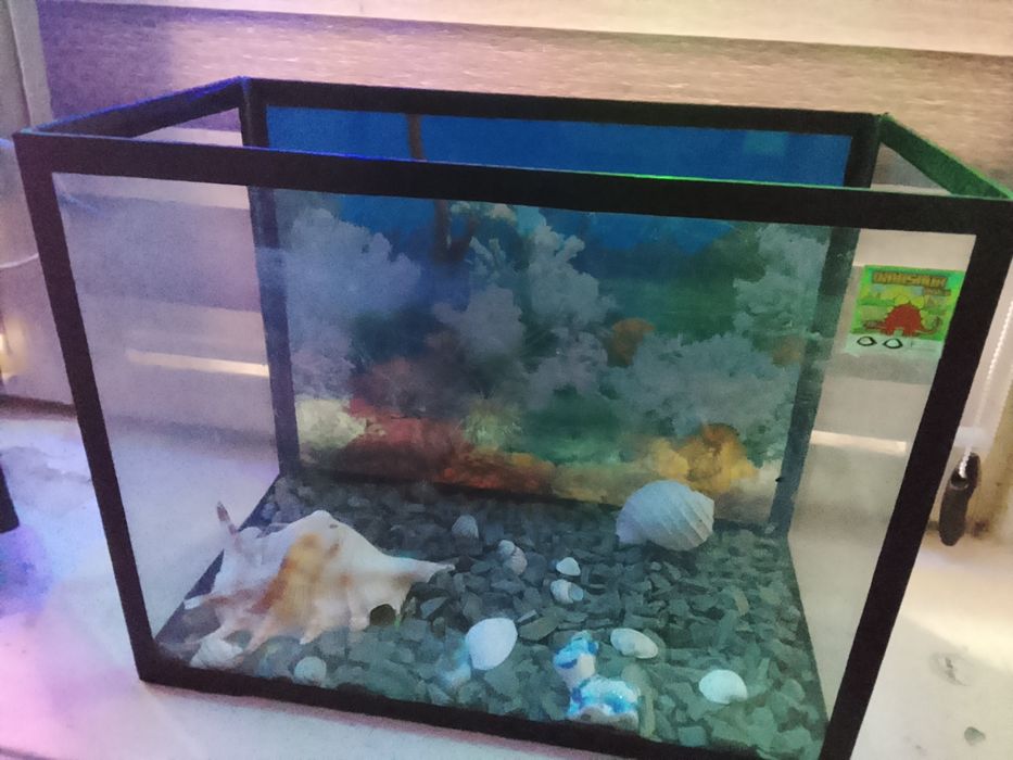 Аквариум для рыб