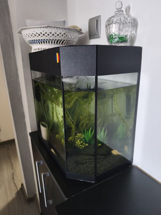 Vând acvariu cu accesorii
