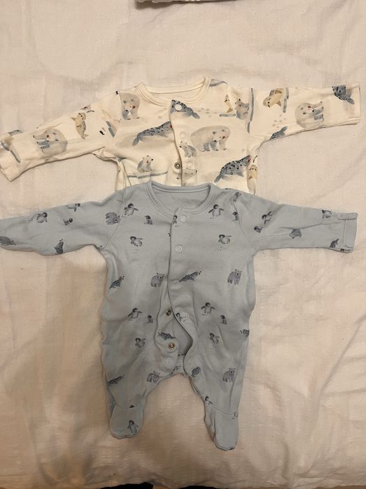 Lot body marimea 50