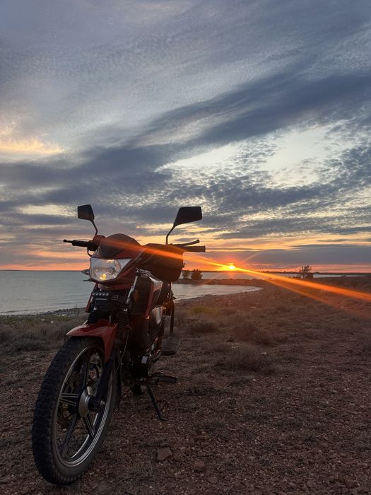 Альфа чамп 125 кубов