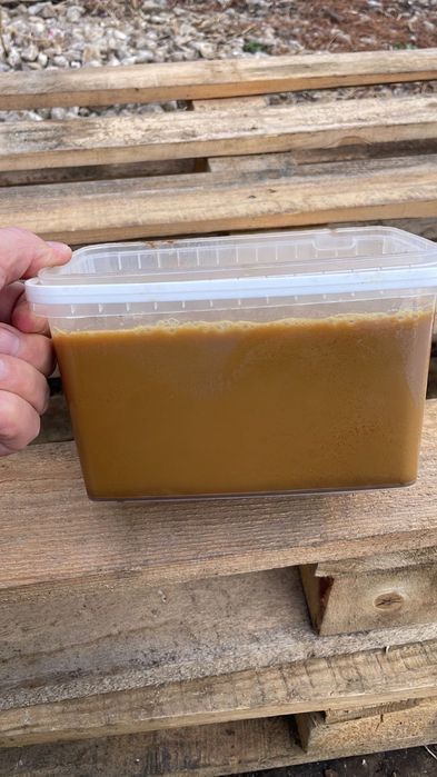 Лечебный Жир Чёрной Львинки