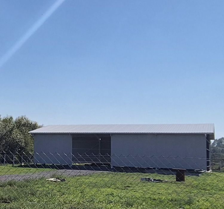 Teren cu hala metalica 300 mp