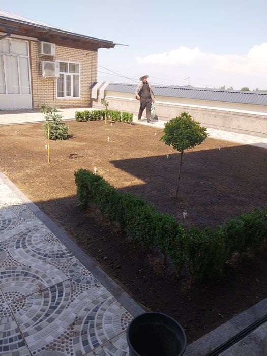 Gazon ekish archa kesish ishlar lanshaftni dizayin ishlar bazaramiz