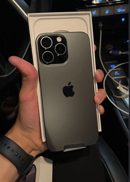 16 про макс 256 еас. 100