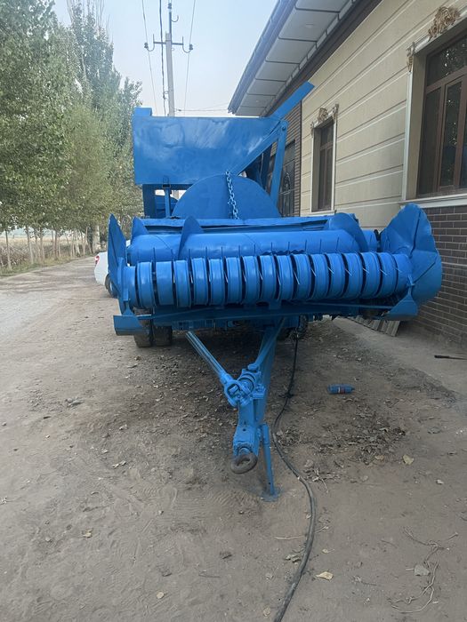 Fasol kanbayn padborka