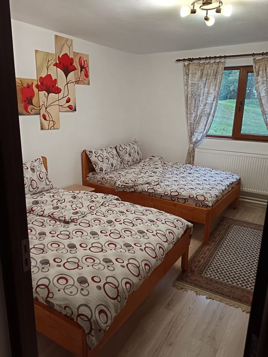 Cabana Tudor de închiriat