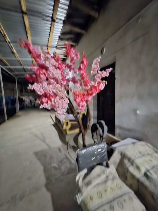 Декоративные цветы