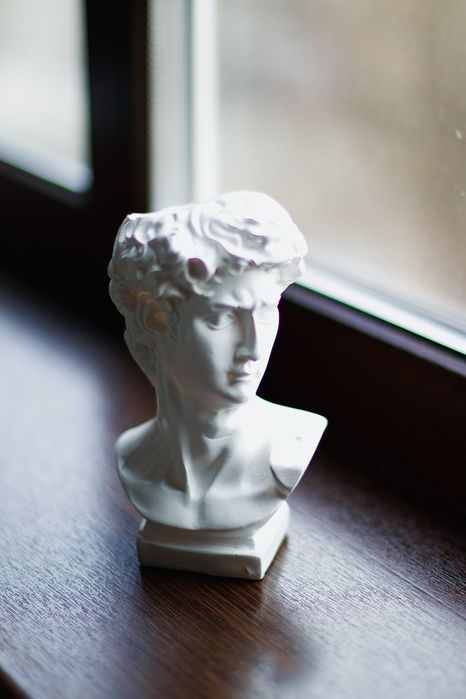 Продам голову давида декор