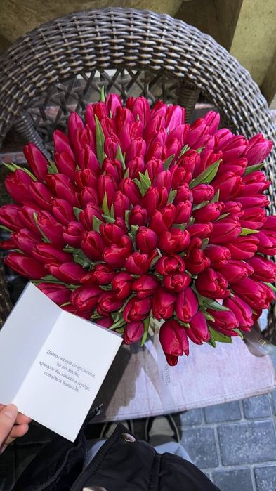 Тюльпаны голландские