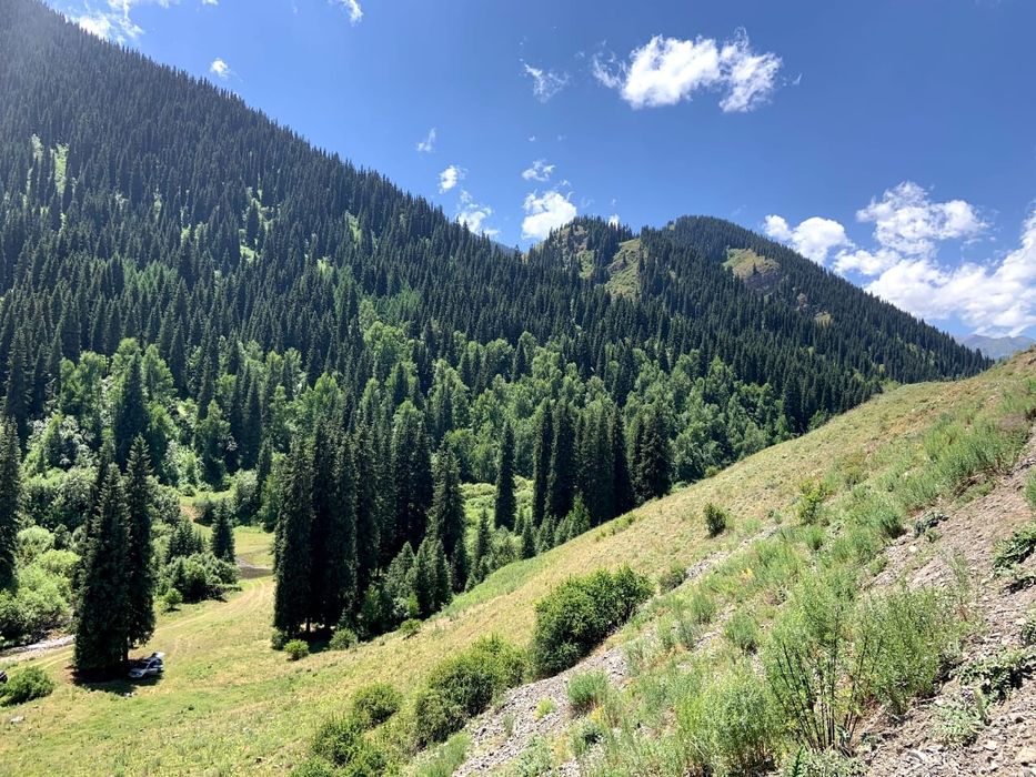 Продам землю в горах под базу отдыха