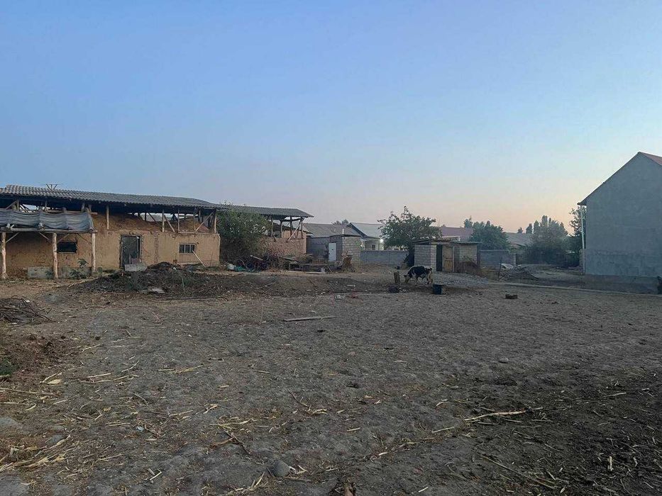 yer sotiladi toshkent shaxar yangi hayot tumanida