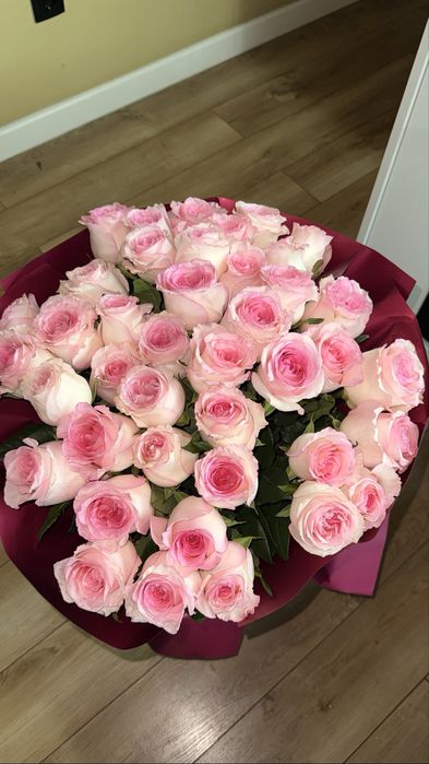 51 роза, свежие, розовые