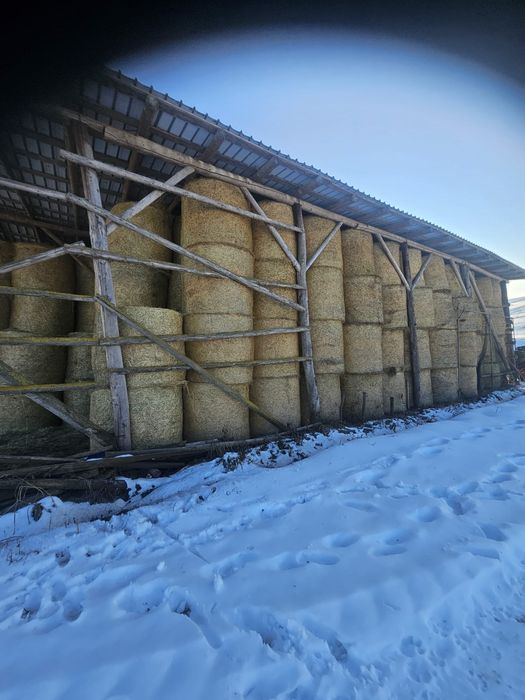 Lucerna coasa a 2-a si a3-a