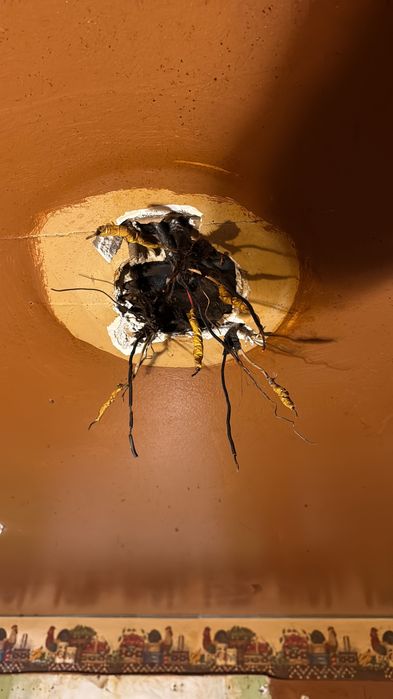 Услуги электрика