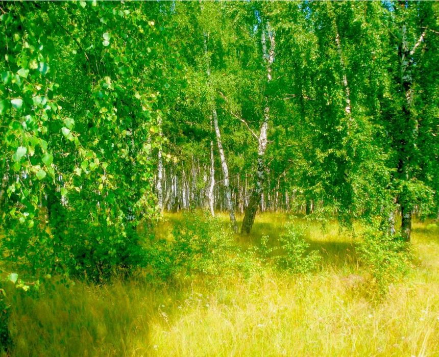 Продам земельный участок