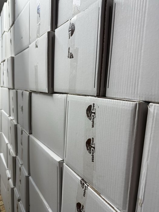 Vând jumătăți miez de nuca alb 2025!