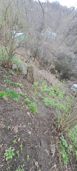 Участок шокая 8 соток