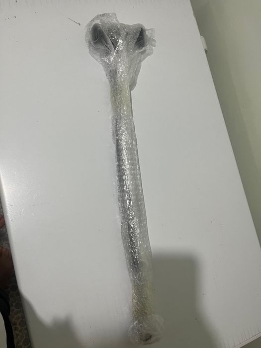 Продам трость новая