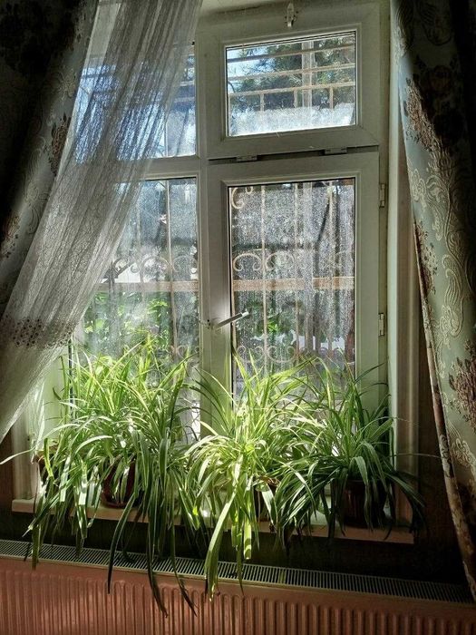 Продам пластиковые рамы б/у.