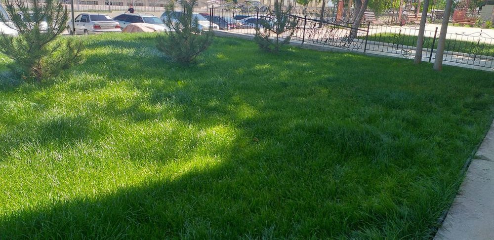 Газон Автополив !